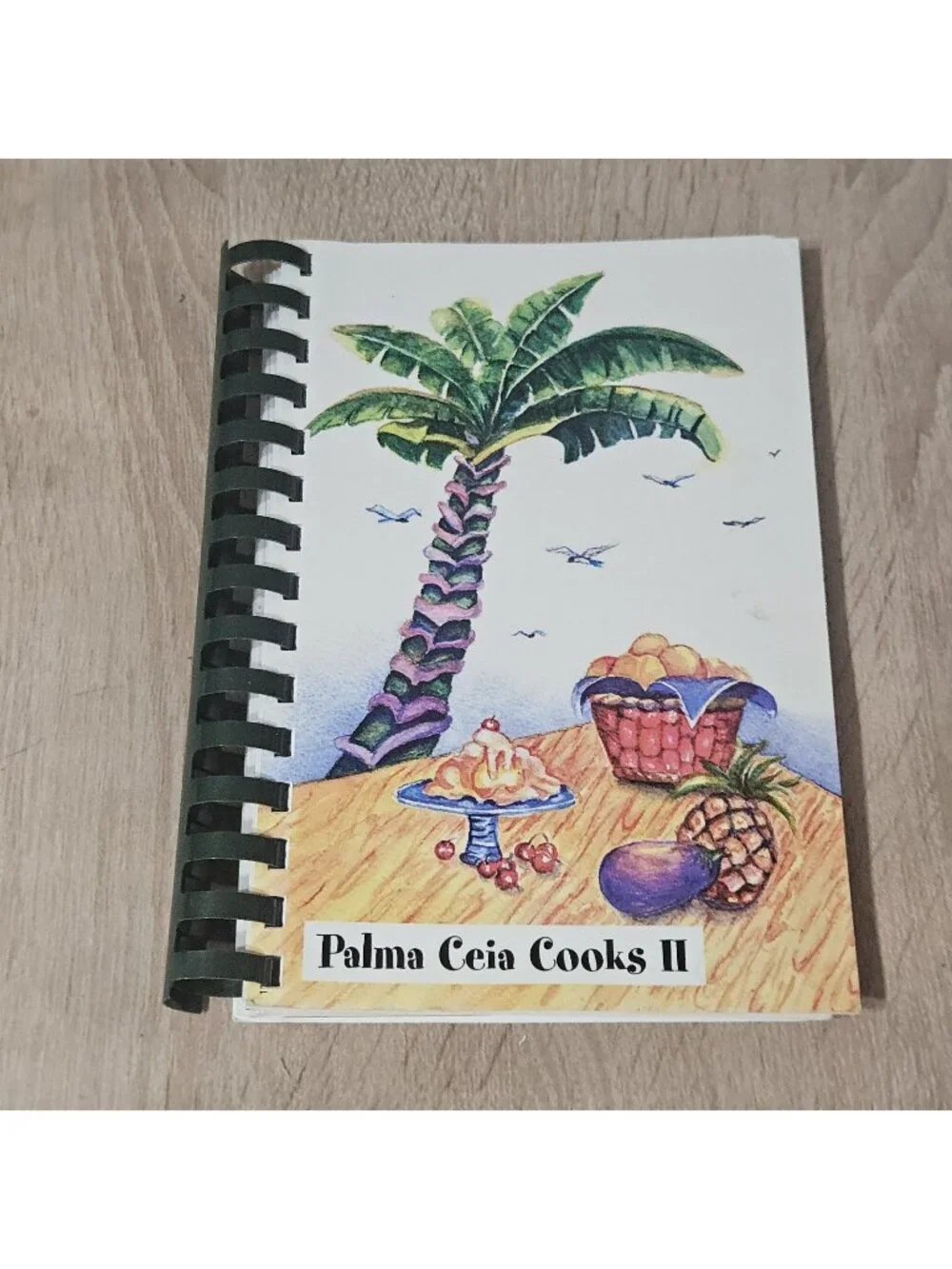 Palma Ceia Cooks ll Cookbook Tampa Florida United Methodist Church Spiral 2001
